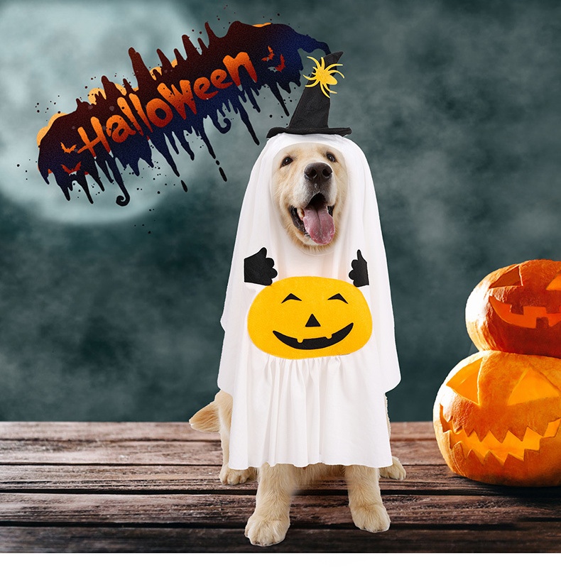 Halloween Ghost Pet Costume with Pumpkin Design and Mini Witch Hat